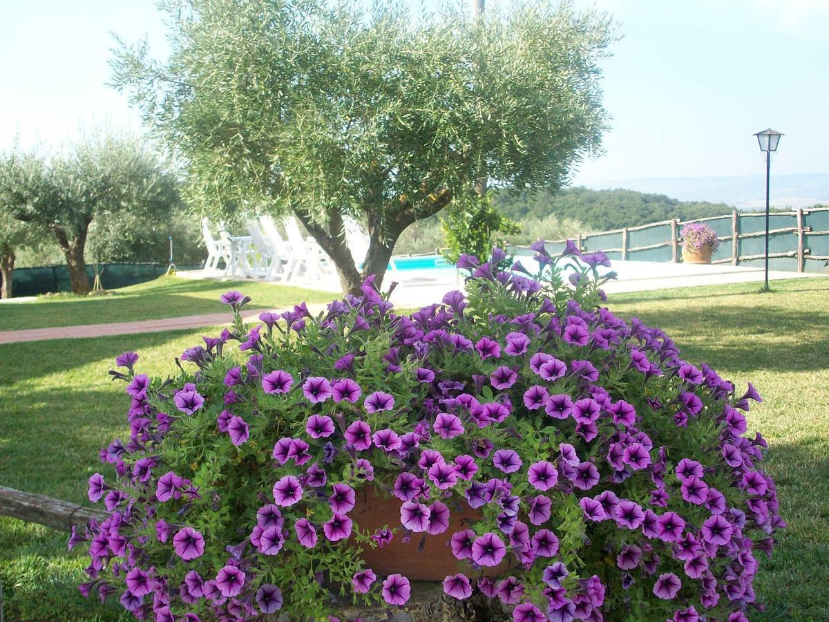 Casale Il Colle Deruta Villa Eksteriør billede